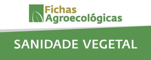 02sanidade