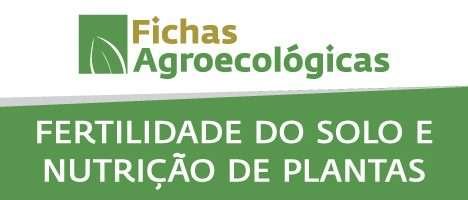 Mapa lança material com técnicas de cultivo de alimentos orgânicos