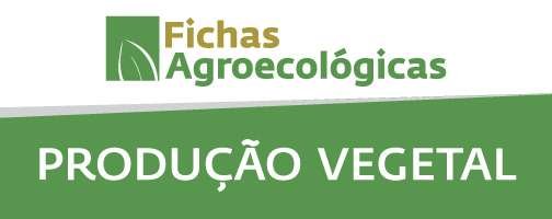 04producao