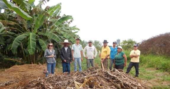 A agricultura familiar e a agroecologia no estado de Goiás