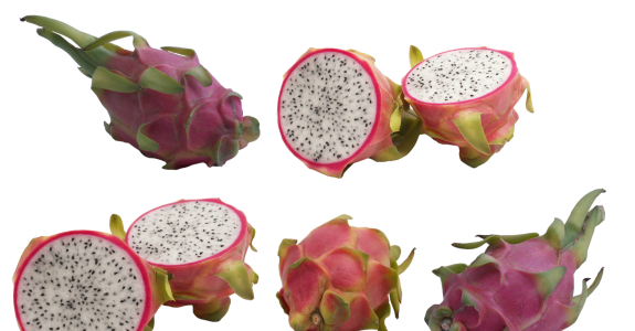 O cultivo orgânico de pitaya no sul de Santa Catarina