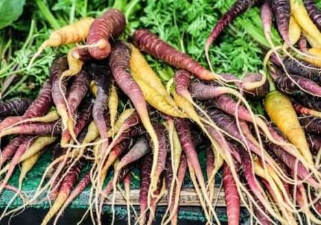 Francês deixa carreira de executivo para investir em alimentos orgânicos