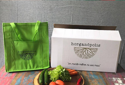 Empresa carioca elabora cardápios semanais com produtos orgânicos e realiza entregas em domicílio