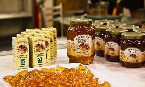 Relações com mercado, identidades socioprofissionais na agricultura orgânica