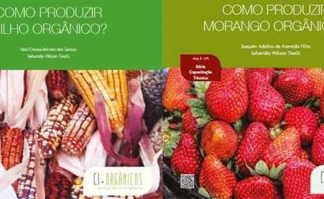 Manuais gratuitos e online ensinam a cultivar alimentos orgânicos