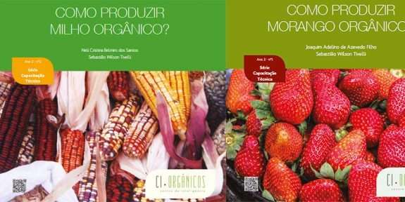 Manuais gratuitos e online ensinam a cultivar alimentos orgânicos