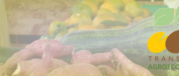 Novo site ensina como fazer a transição para a agricultura orgânica