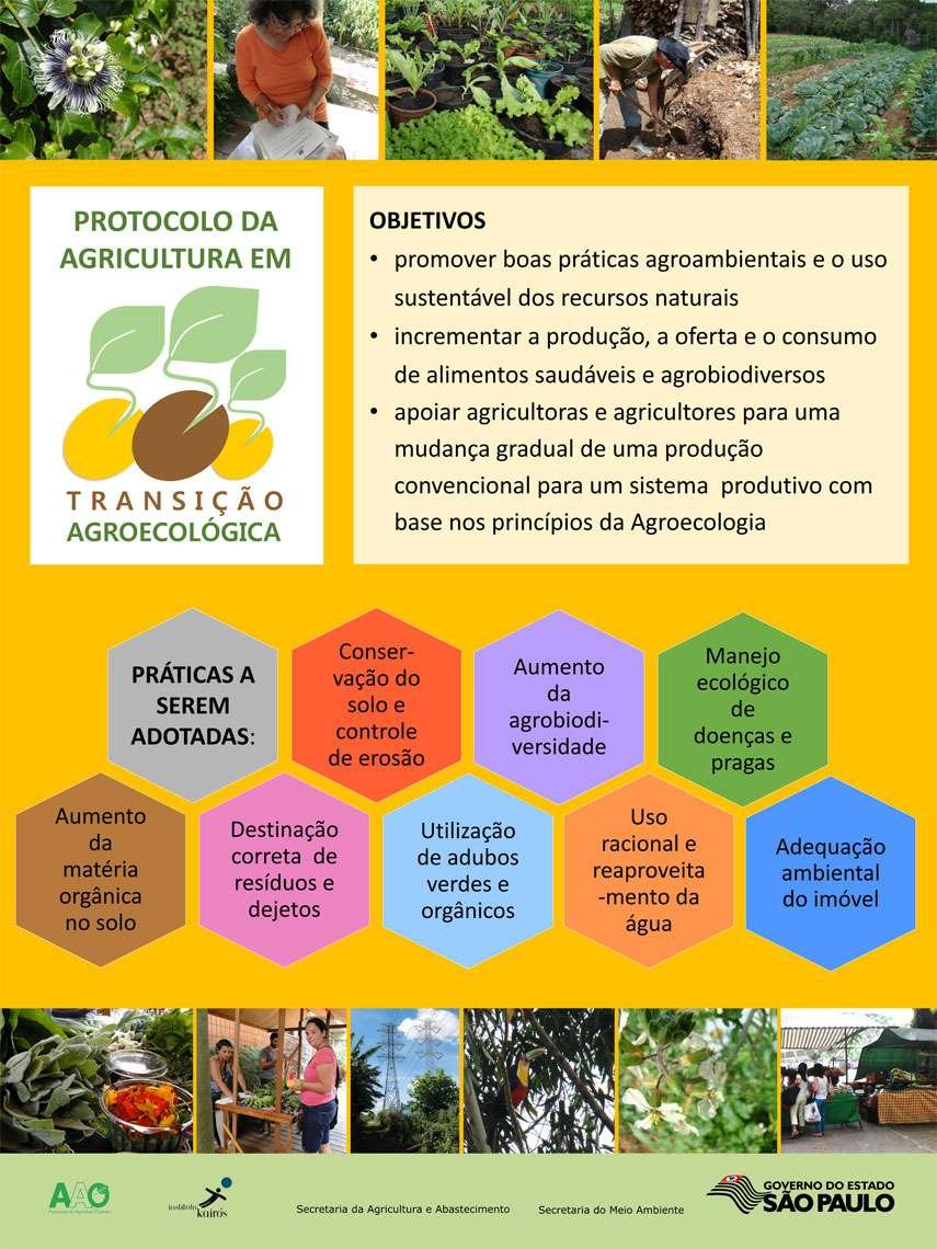 Imagem: Reprodução / Transição Agroecológica