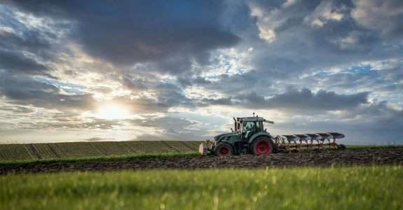 Os perigos da agricultura industrial