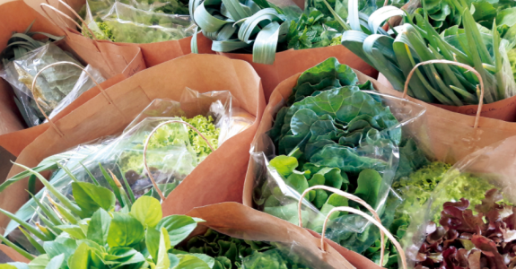 Em São Paulo, dobra o número de empresas que entregam orgânicos em casa