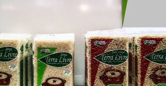 RS – Chamada pública para compra de sementes de arroz orgânico está aberta