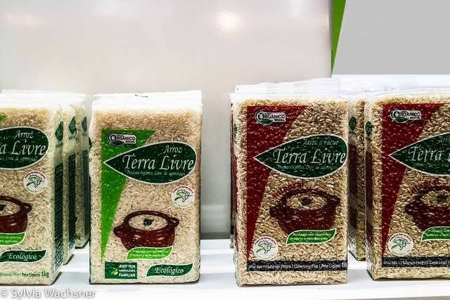 Arroz orgânico da Terra Livre. Foto: Sylvia Wachsner (CI Orgânicos/OrganicsNet)