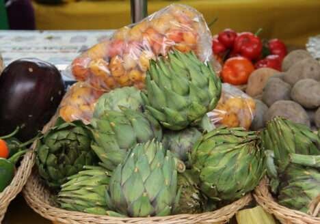 Agricultura Orgânica: Regulamentos técnicos e acesso aos mercados dos produtos orgânicos no Brasil Agricultura Orgânica: Regulamentos técnicos e acesso aos mercados dos produtos orgânicos no Brasil