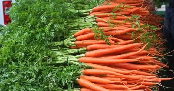 Projeto que isenta produtos orgânicos de ICMS avança na Alesp
