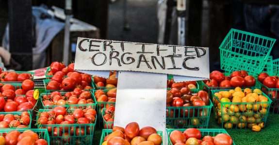 Orgânicos: pequenas sementes que produzem grandes resultados