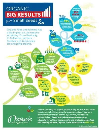 infografico_organico1