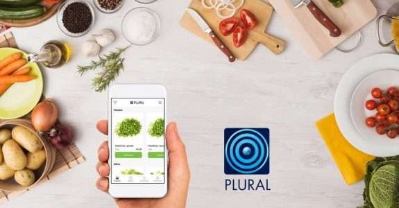 Startup lança aplicativo para venda de orgânicos em SP