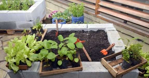 Secretaria de Agricultura de SP estimulará o cultivo de hortas urbanas e periurbanas