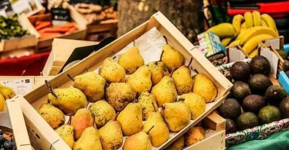 Frutas e vegetais estão entre os alimentos mais desperdiçados do mundo