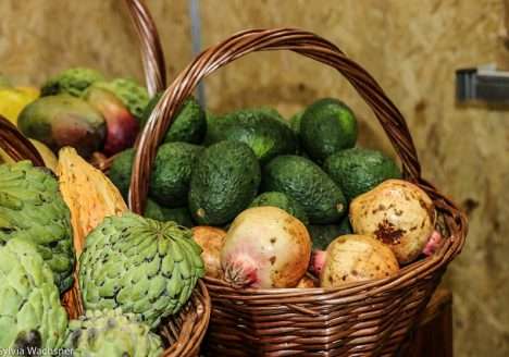 Projeto da UFSC conecta produtores orgânicos a consumidores na Grande Florianópolis