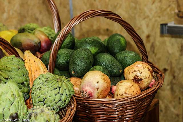 Projeto da UFSC conecta produtores orgânicos a consumidores na Grande Florianópolis