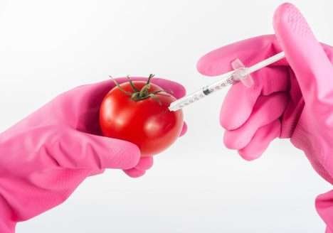 Especialistas divergem sobre os “benefícios” dos alimentos transgênicos Especialistas divergem sobre os “benefícios” dos alimentos transgênicos