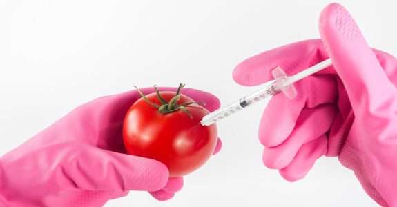 Especialistas divergem sobre os “benefícios” dos alimentos transgênicos