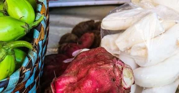 Câmara discute propostas sobre orgânicos e agrotóxicos