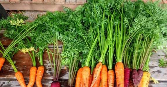 Simples x Natural: o que significam exatamente esses conceitos