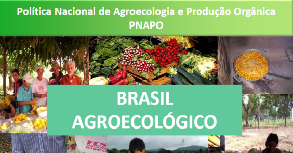 PNAPO é finalista do Future Policy Award – Prêmio de Políticas para o Futuro