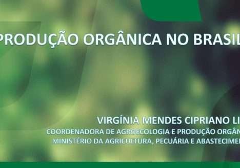 Produção Orgânica no Brasil entre 2013 e 2017 Produção Orgânica no Brasil entre 2013 e 2017