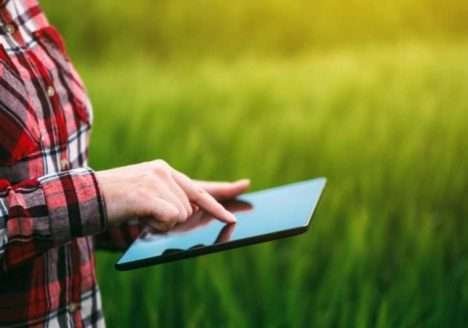 Anvisa: banir agrotóxicos nocivos à saúde