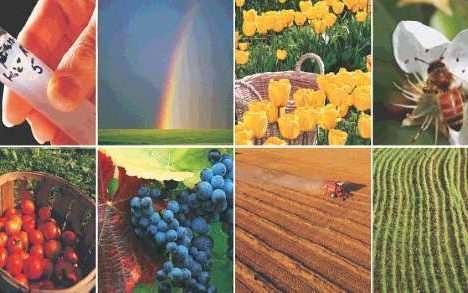 Mercado de defensivo agrícola biológico tem excelentes perspectivas no Brasil