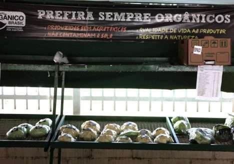 Campanha nacional informa população sobre melhores formas de identificar orgânicos em feiras e mercados Campanha nacional informa população sobre melhores formas de identificar orgânicos em feiras e mercados