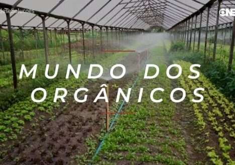 O mundo dos orgânicos – Cidades & Soluções O mundo dos orgânicos – Cidades & Soluções