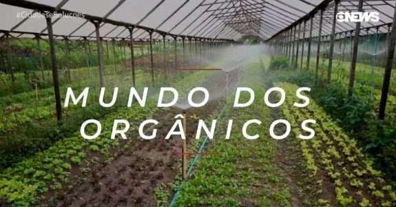 O mundo dos orgânicos – Cidades & Soluções
