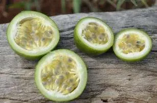 Pesquisadores desenvolvem primeiro sistema orgânico de maracujá do País Pesquisadores desenvolvem primeiro sistema orgânico de maracujá do País