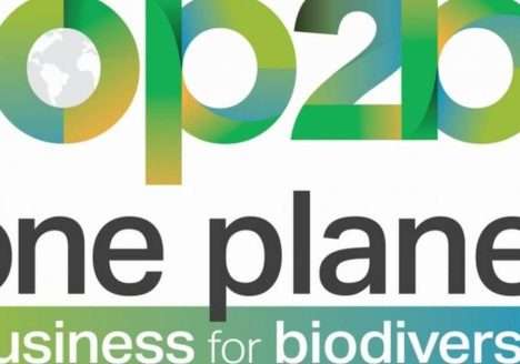 Multinacionais com receita de U$$ 500 bi se unem em prol da biodiversidade