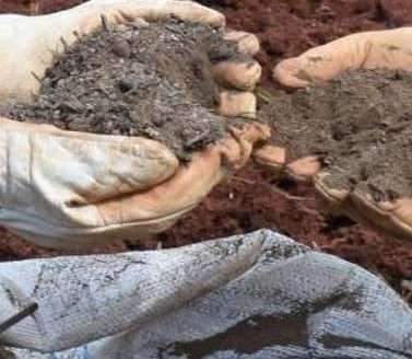 Composto orgânico à base de esterco bovino: como fazer? Composto orgânico à base de esterco bovino: como fazer?