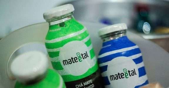 Chá mate orgânico é a bebida energética ideal para o verão