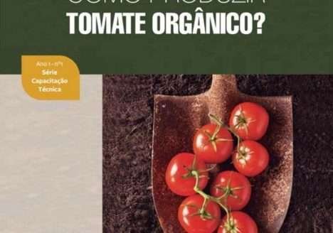 Adubo verde é opção para cultivo de tomate orgânico Adubo verde é opção para cultivo de tomate orgânico