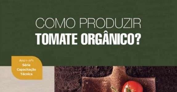 Adubo verde é opção para cultivo de tomate orgânico