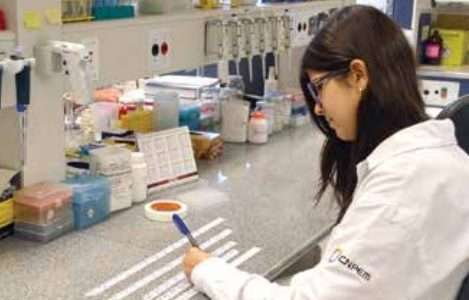 Biofertilizante: zero impacto no meio ambiente