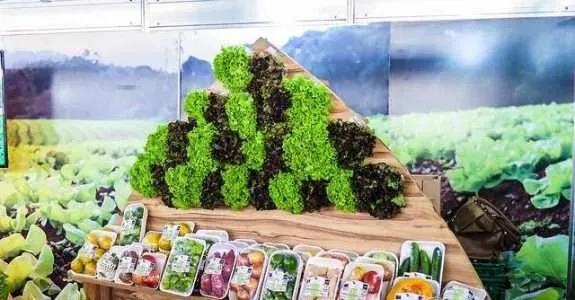 Mais de um terço dos consumidores compraram produtos orgânicos em 2019