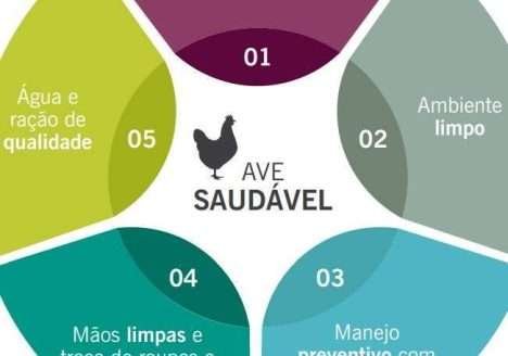 Recomendações básicas de Biosseguridade para pequena escala de produção avícola