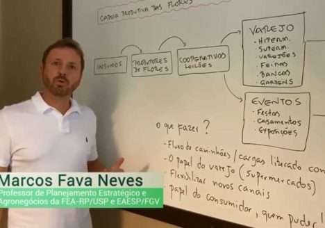 O impacto do Coronavírus no Agro III