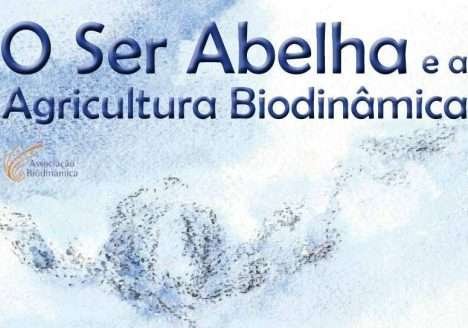O Ser Abelha e a Agricultura Biodinâmica