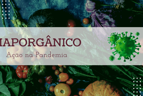 MapOrgânico facilita acesso de produtores aos consumidores de orgânicos durante a Covid-19
