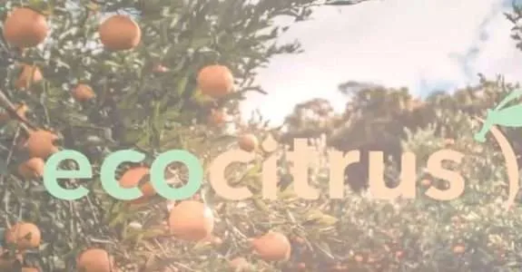 Como Fazer Poda de Condução em Pomar de Citros Pós Implantação