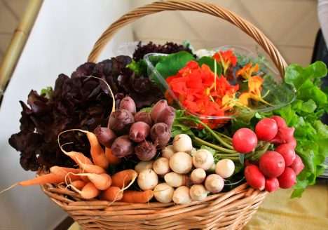 Inspirada em gigante de Nova York, a primeira cooperativa de consumo de SP abre as portas com foco em preços acessíveis e sem fins lucrativos